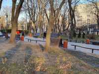 Taras Shevchenko Park in autumn 🗺️