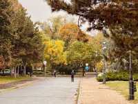 City Park Városliget Budapest in autumn 🗺️ 