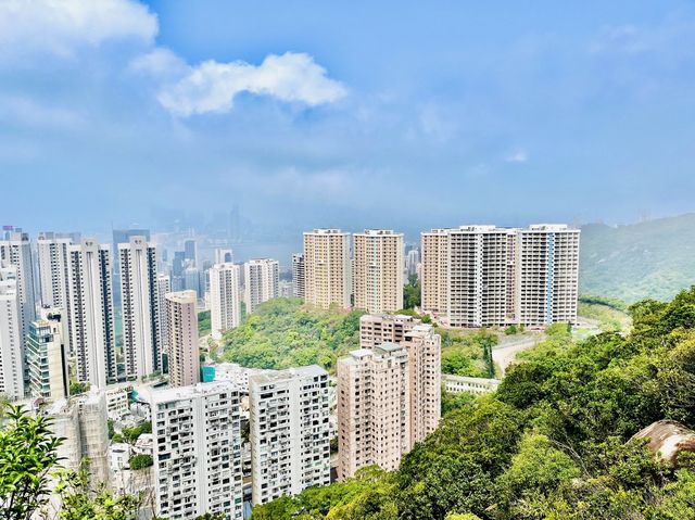 市區簡易郊遊 - 黃泥涌峽徑