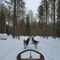 The wonderful place - Rovaniemi