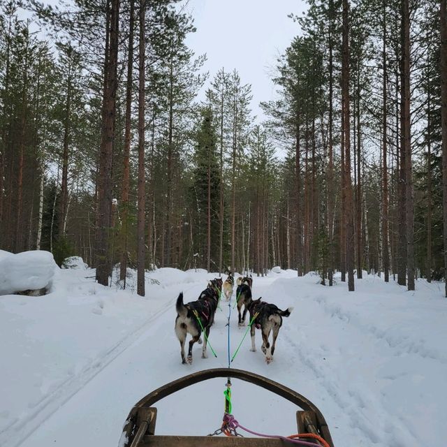 The wonderful place - Rovaniemi