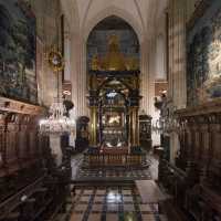 The Wawel Cathedral (Katedra Wawelska) 