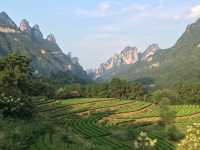 Majestic Heights in Zhangjiajie 🏞️🚡