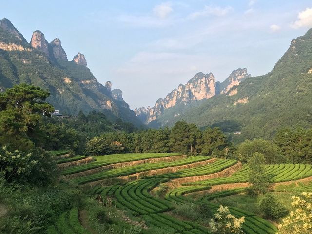Majestic Heights in Zhangjiajie 🏞️🚡