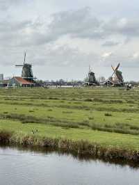 【荷蘭必去景點】桑斯安風車村，芝士和木鞋廠，適合半天遊！