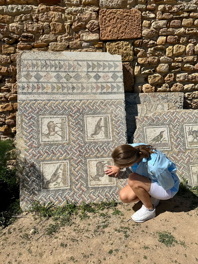 📍Carthage, Tunis 🏛️