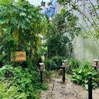 Caoba Farms Restaurant in Antigua