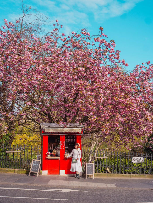 Princes Street Gardens