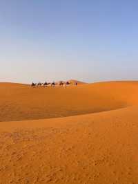 Sahara Desert Merzouga was incredible 🗺️