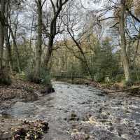 A Yorkshire Walk