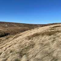The beauty of the moors 