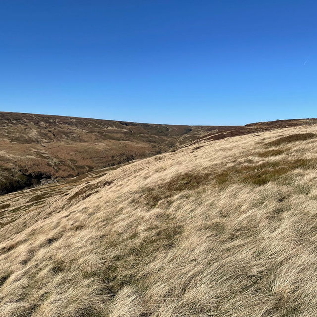 The beauty of the moors 
