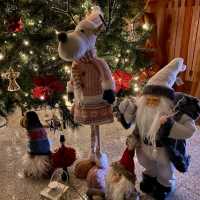 Santa Claus Under the Christmas Tree!  