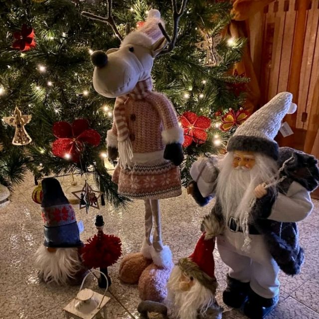 Santa Claus Under the Christmas Tree!  