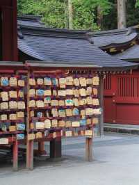 【東京的一天旅程:探索箱根神社和發現隱世頂流拉麵!】