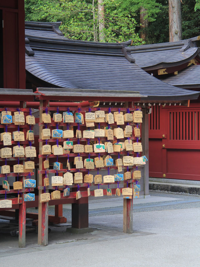 【東京的一天旅程:探索箱根神社和發現隱世頂流拉麵!】 【東京的一天旅程:探索箱根神社和發現隱世頂流拉麵!】