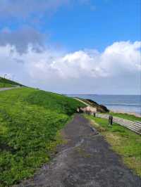🌳 Gijón’s Green Escapes! 🌿🚶