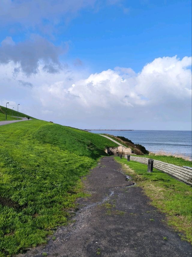 🌳 Gijón’s Green Escapes! 🌿🚶