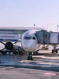 ✈️ Beijing Airport Transit: A Quick Adventure in the Capital! 🇨🇳