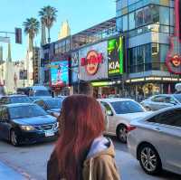 Stroll Among the Stars: The Walk of Fame in LA! ⭐️🎬
