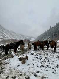 Horse Riding in Kazakhstan