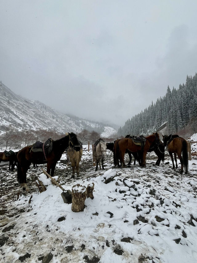 Horse Riding in Kazakhstan