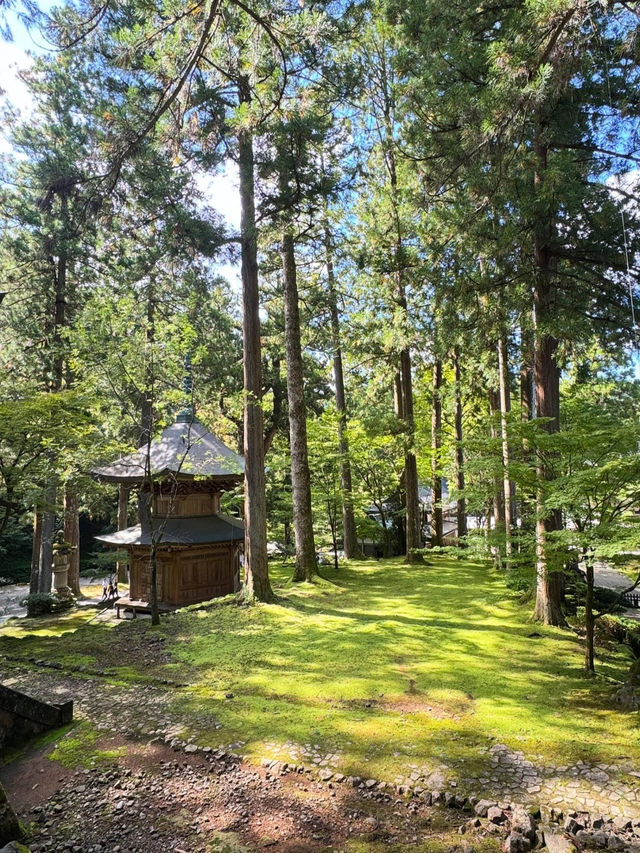 Japanese Soto sect surrounded by a majestic atmosphere