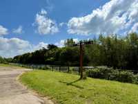 Blueway + Orchard Roads & Apple Treats