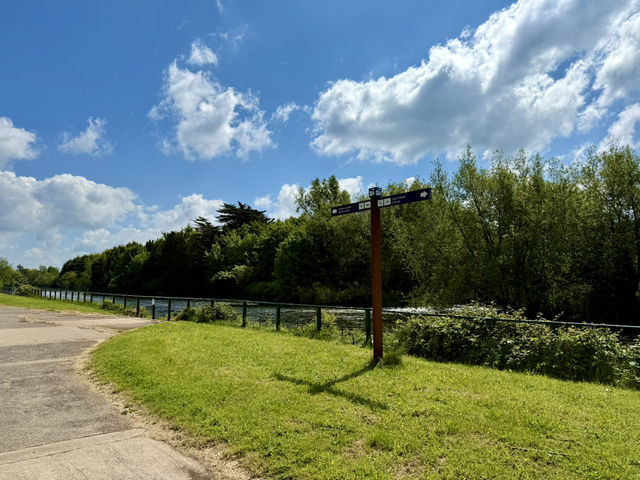Blueway + Orchard Roads & Apple Treats