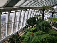Above the Clouds: A Day at London's Sky Garden