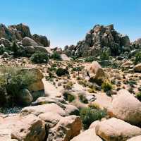 🥾 Best Hike in Joshua Tree National Park: Hidden Valley Trail 🌵