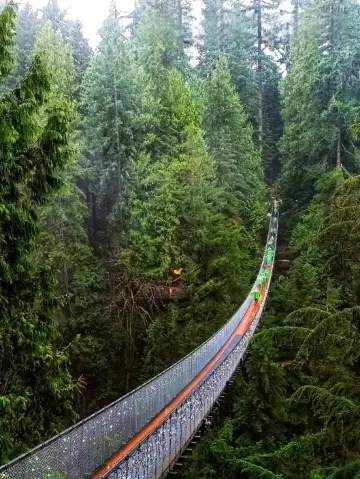 Capilano Suspension Bridge Park: Nature Meets Thrill in Vancouver’s Backyard