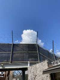 Walking the Edge of History at Korea’s DMZ