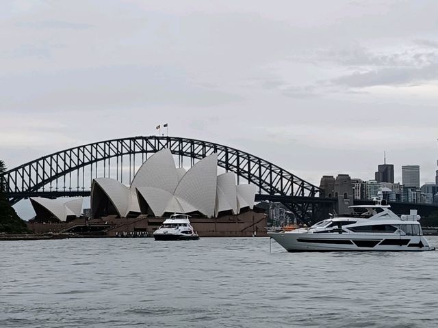 Memorable Sydney CBD outings
