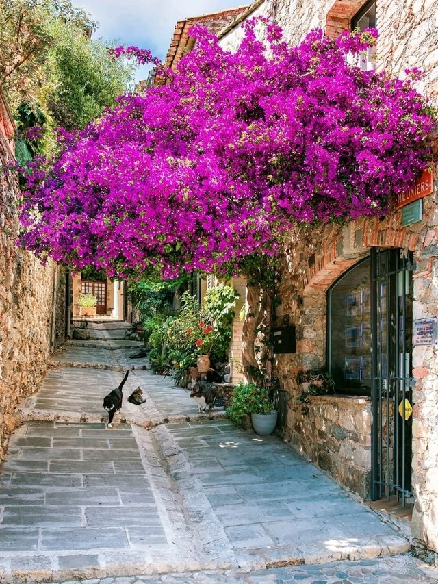🏡 Stone by Stone, Sky by Sky – Grimaud, Côte d’Azur, France