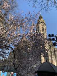 ⛪ St. Elisabeth Cathedral: Gothic Masterpiece in Košice
