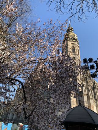 ⛪ มหาวิหารเซนต์เอลิซาเบธ: ผลงานชิ้นเอกสไตล์โกธิกในเมืองโคชิเซ