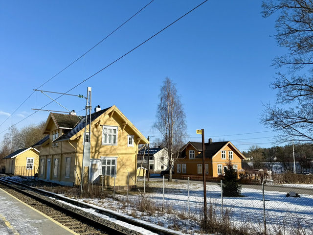 Scream Oslo 😱🙀 Scream Oslo 😱🙀