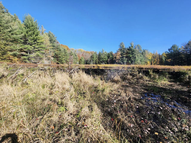 Algonquin Provincial Park