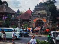 🌿Only Have 1 Day in Ubud? Do This