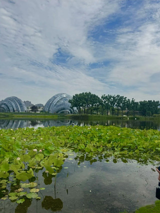 Shanghai Botanical Garden: A Complete Guide