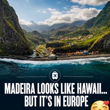 🌿🌊 Madeira feels like Europe’s answer to a tropical adventure island.