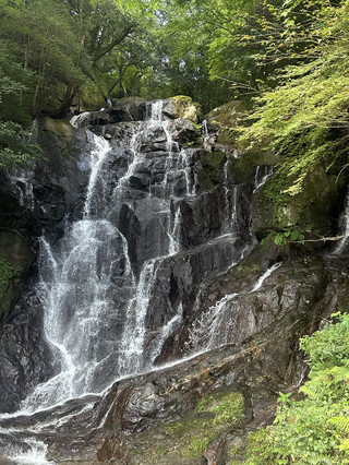 跟隨 Trip.com 推薦，輕鬆暢遊福岡系島柳川一日遊——貼心服務與精采行程體驗