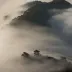 diplomatic.leona