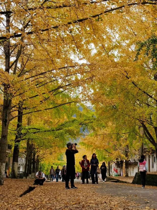 11月下旬自駕到南雄帽子峰森林公園景區