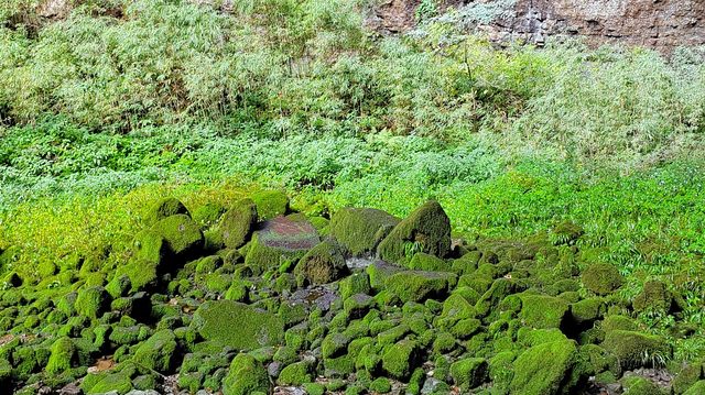 武隆天生三橋打卡拍照點位