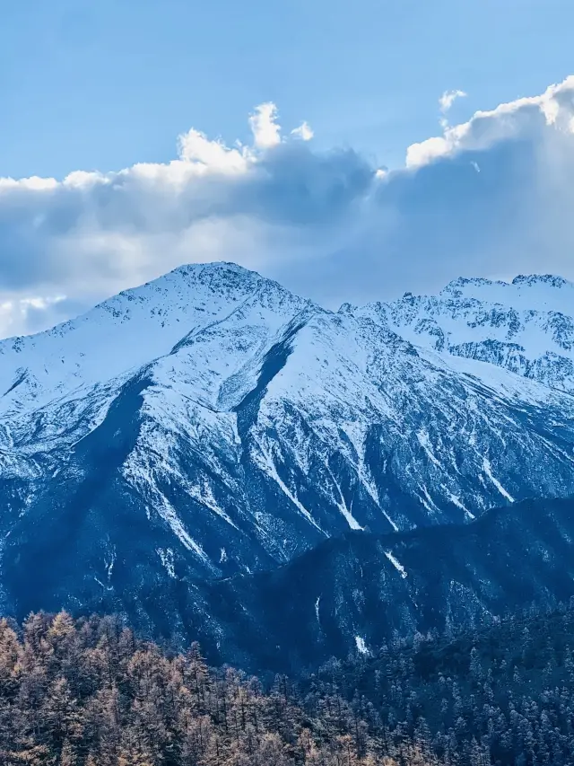 在白馬雪山看到最美的秋天