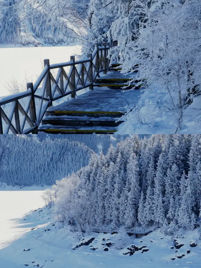 見山見水見雪見萬里叢林