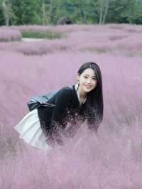 成都超級大片粉黛子！太美了！