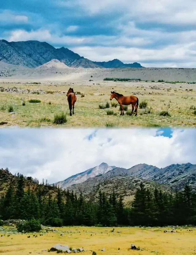 คุณเห็นภูเขา Helan ใน Inner Mongolia ที่คนทั่วไปไม่สามารถเห็นได้!!!